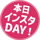 毎月15日はインスタDAY