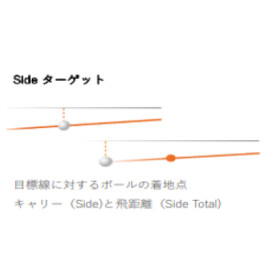 キャリーサイド